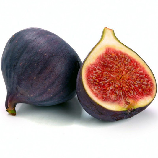 Figuier à fruits précoces - Vente Ficus carica 'Noire de Bellone'